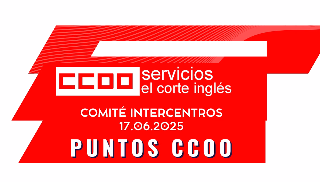 COMITÉ INTERCENTROS ECI: PUNTOS APORTADOS POR CCOO (17/6/2025)